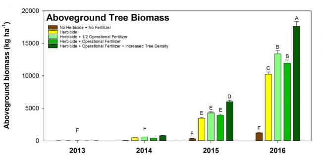 Short Rotation Woody Crop Study Above Ground Biomass Graph